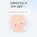 [D-60/45] 오복이를 위한 첫 항체 선물 💉 임신 31주 백일해 접종 완료! 당일 증상 기록