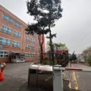 문교초등학교 이미지