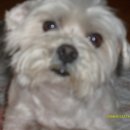 외동사거리 이미지