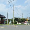 강아지 마을회관 이미지