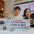스카이라이프 이미지
