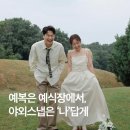 [야외웨딩스냅 드레스 대여/셀프웨딩홈] 양재 드레스 피팅&amp; 드레스 대여 솔직후기