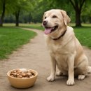 24시잠실ON동물의료센터 이미지