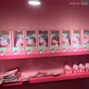 시청남길 6~호국로 9 | 해치1주년 팬파티 해치팬미팅 서울광장 럭키드로우 후기