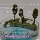 담록 이미지