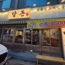 달동돼지달돈