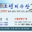 오렌지 수산 이미지