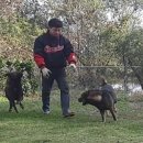 재구농장 이미지