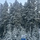 겨울 캐나다 Joffre Lakes Park 등산 후기 🥾 | 눈부시게 아름다운 조프리 레이크 🏔️ + 예약 꿀팁