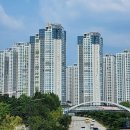 디딤돌부동산중개 이미지