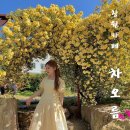 내서읍384 이미지