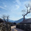 한국건재 | 500년의 숨결이 닿은 비밀의 정원, 외암마을 건재고택