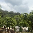 힐링펜션 리뮤 | 강원도 인제 독채 펜션 개별 바베큐장이 있는 힐링펜션리뮤 후기