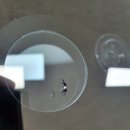 건모터스 이미지