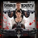 헨젤과 그레텔-마녀 사냥꾼(Hansel and Gretel: Witch Hunters,2013)ㅣ액션,판타지,공포ㅣ영국ㅣ청소년 관람불가 이미지