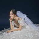 보니타컬렉션