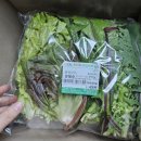 진주중부농협로컬푸드지점하나로마트 이미지