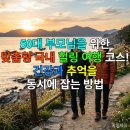 마을리더의 실생활속 건강관리 | 50대 부모님을 위한 맞춤형 국내 힐링 여행 코스! 건강과 추억을 동시에 잡는 방법
