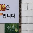 용인대 금메달 태권도장 이미지