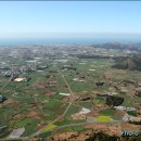 산방산의봄 이미지