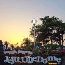 제주야자수정원수영장 올레돔 감성독채숙소 이미지