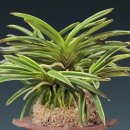 설현농장 이미지