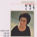 서귀포사랑