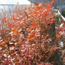 증산정보도서관 이미지