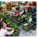 보성어린이집 이미지