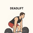 SU FITNESS 이미지