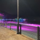 오션비치스파애견펜션 이미지