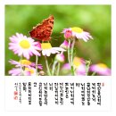 평안 - 용산구 원효로41길 47-4 | 평안