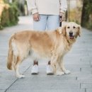 수정동물병원 이미지