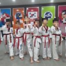 용인대국무태권도