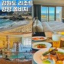 양양 푸드뱅크 | 양양 쏠비치 리조트 앤 호텔 숙박 오션플레이 후기