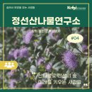 정선산나물 - 정선군 재동길 187 | 정선산나물