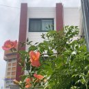 닭만공격 연산점 | 6.9.) 북마산할머니🫶, 대한민국vs칠레, 순살만공격, 서면 나들chu 이구자양곱창, 사오, 쉐이크쉑...