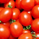 방주농원 이미지