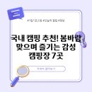 국내 캠핑 추천! 봄바람 맞으며 즐기는 감성 캠핑장 7곳
