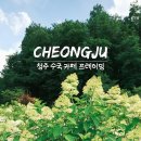 (주)프레이밍 | 청주 수국카페 프레이밍 수국 절정 시기 놓치지 마세요!