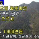 품속농장 Daum카페