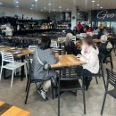 2일차 : 그레이트 오션 로드 투어, 아폴로 베이 맛집 추천(조지스 푸드코트, 스캘랩 파이), 헬기 투어 후기