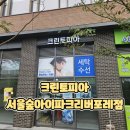 문화세탁 | 서울숲 크린토피아 서울숲아이파크리버포레점 토퍼세탁 후기와 구스다운토퍼세탁비용 정리