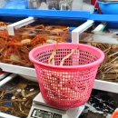 동원시장 | 울산 남구 대게 맛집 울산 농수산물시장 5번 부산수산 동원초장 후기