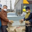 평화농장3 이미지