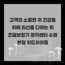 위드위즈덤