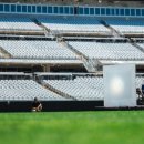 우주개스타 이미지