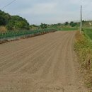 죽절농장 이미지