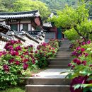 도산 이미지