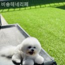 이종무로128번길 이미지